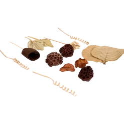 Assortiment de décorations d'automne | Action FR