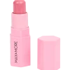 Blush stick multi-usage Max & More | Action FR