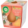 Bougie parfumée Air Wick Essential Oils Anti-tabac Orange | Action FR