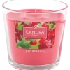 Bougie parfumée Candra | Action FR