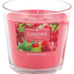 Bougie parfumée Candra | Action FR