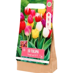 Bulbes de tulipe | Action FR