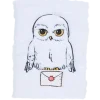 Carnet de notes Harry Potter A5 | Action FR