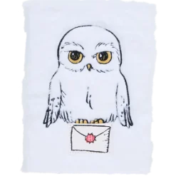 Carnet de notes Harry Potter A5 | Action FR