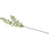 Eucalyptus artificiel sur tige Excellent Flowers | Action FR