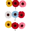 Fleurs en papier Hobby Flora | Action FR