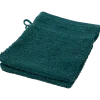 Gants de toilette Capetown Vert | Action FR