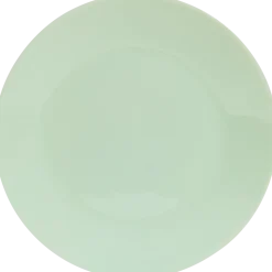Grande assiette 25 cm | Action FR