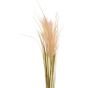 Gynérium artificiel Excellent Flowers | Action FR