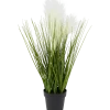 Herbe ornementale en pot | Action FR