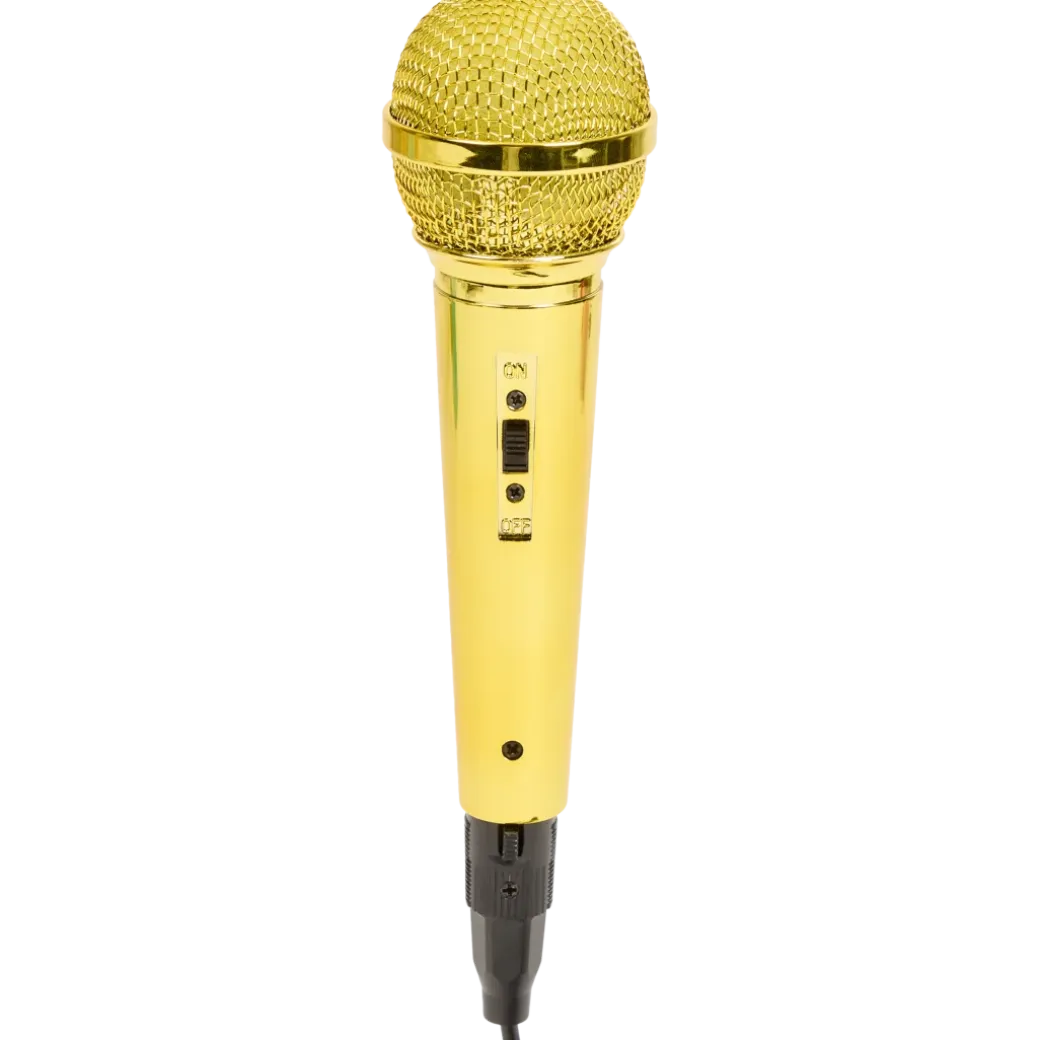 Microphone portatif | Action FR
