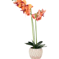 Orchidée artificielle en pot The Hamptons Collections HOME | Action FR