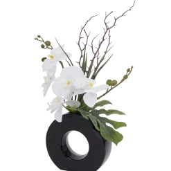Orchidée dans un vase | Action FR
