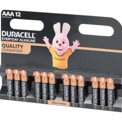 Piles Duracell Everyday Alkaline AAA 12 Pièces | Action FR