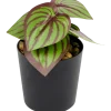 Plante artificielle en pot | Action FR