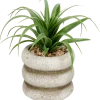 Plante grasse artificielle dans pot | Action FR