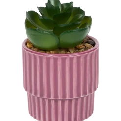 Plante grasse artificielle en pot | Action FR