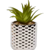 Plante grasse artificielle en pot | Action FR