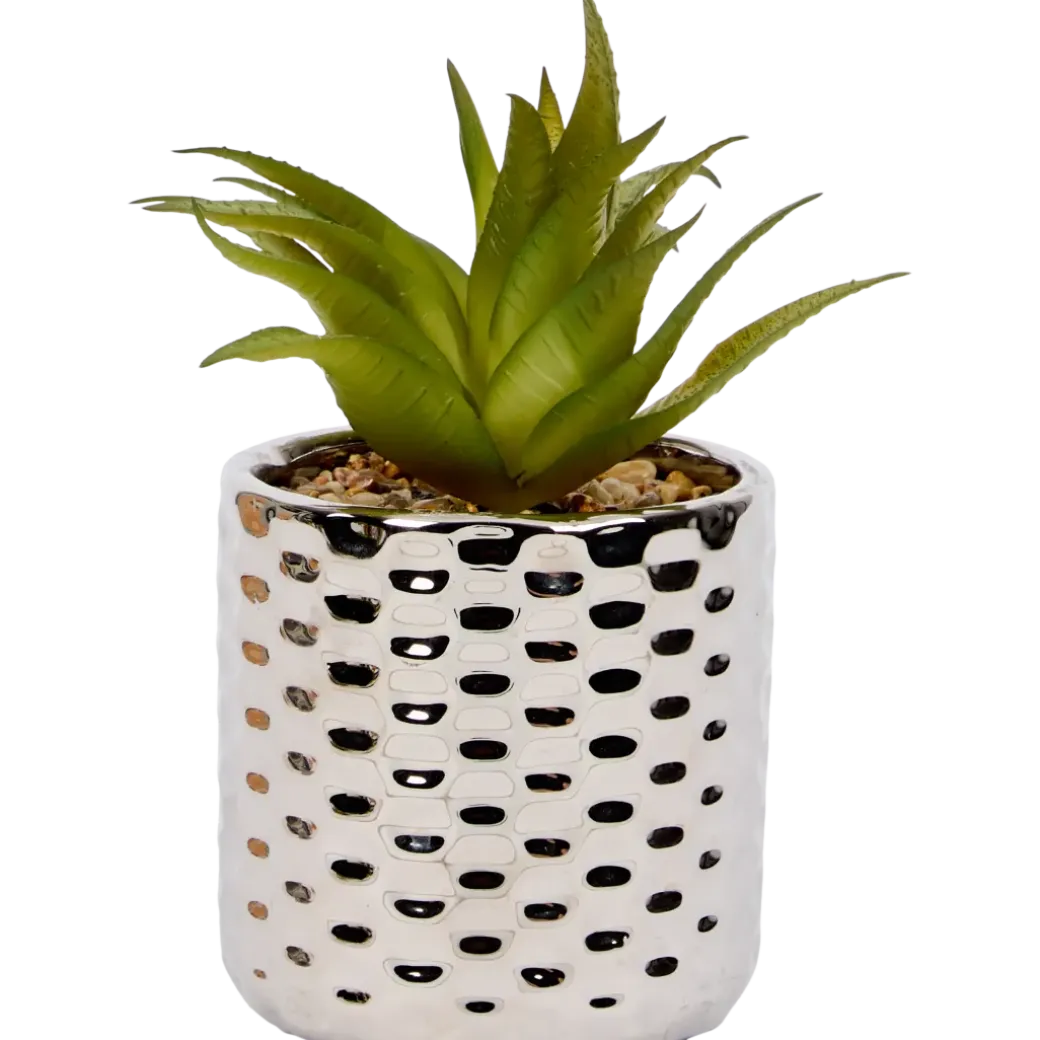 Plante grasse artificielle en pot | Action FR