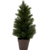 Sapin de Noël | Action FR