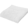Serviette Hotel Royal Gris clair 50 x 100 cm Gris | Action FR