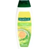 Shampoing Palmolive Naturals Fresh & Volume | Action FR